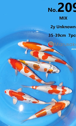NISAI MIX