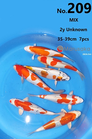 NISAI MIX