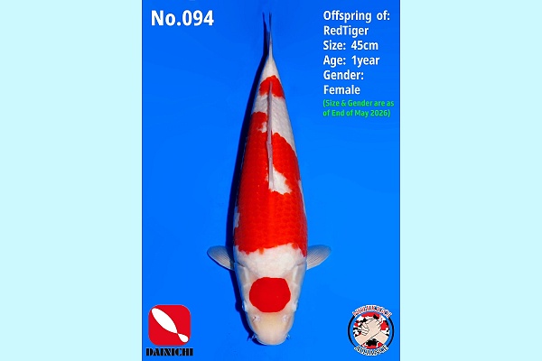 1Y Kohaku Nbr 094