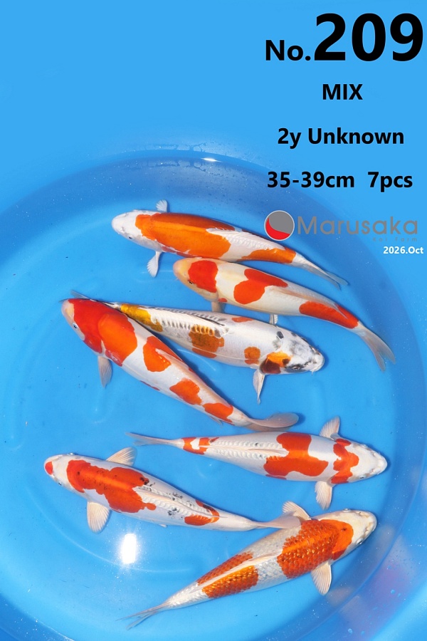 NISAI MIX MARU-001