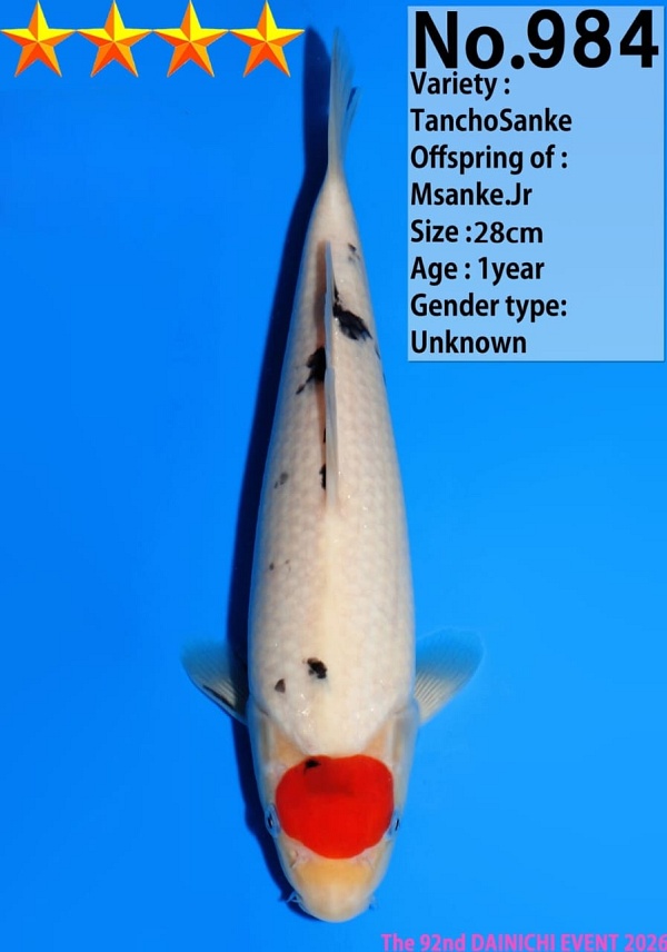 TANCHO SANKE DAIN-984